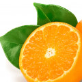 Sweet Orange