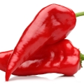 Red Pepper