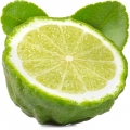 Bergamot