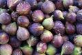 Fig