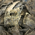 Cambodian Oud